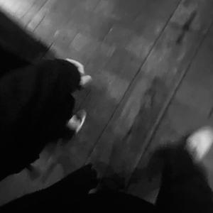 天堂禾欧美城网站
