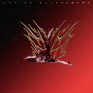 天堂禾欧美城网站
